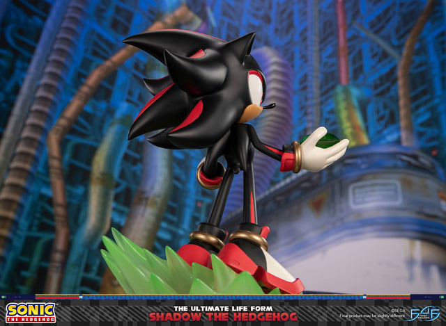 Sonic The Hedgehog - The Ultimate Life Form: Shadow the Hedgehog (0a03c73c-5ae6-4fd9-8b34-7d200036d25f.jpg)