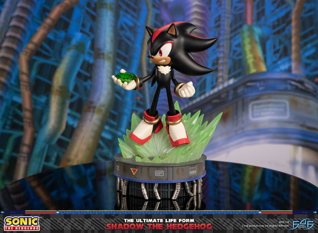 Sonic The Hedgehog - The Ultimate Life Form: Shadow the Hedgehog (247f3abe-e0d7-4f6b-8de8-8510ac40599a.jpg)