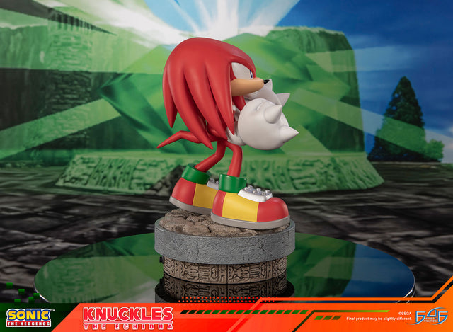 Sonic the Hedgehog - Modern Knuckles (35410886-68de-4da4-80f3-97ebd0820cbb.jpg)