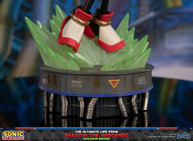 Sonic The Hedgehog - The Ultimate Life Form: Shadow the Hedgehog (Exclusive Edition) (6009bc37-a193-40ec-b3f6-b26360c5686a.jpg)