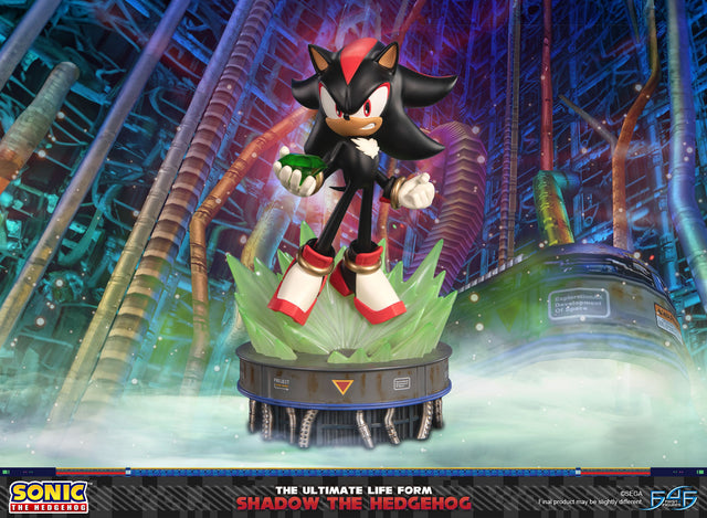 Sonic The Hedgehog - The Ultimate Life Form: Shadow the Hedgehog (78e7a642-f7ac-4b62-ac0c-9537af27c28f.jpg)