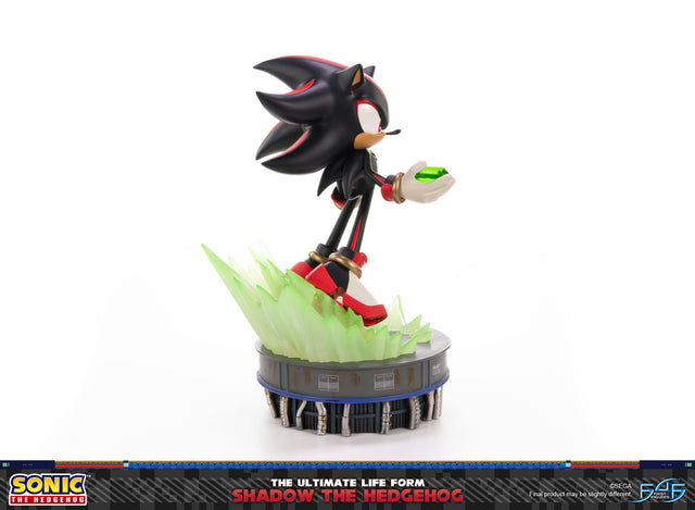 Sonic The Hedgehog - The Ultimate Life Form: Shadow the Hedgehog (841f2a35-42f5-4f17-a43c-a31323f621fc.jpg)