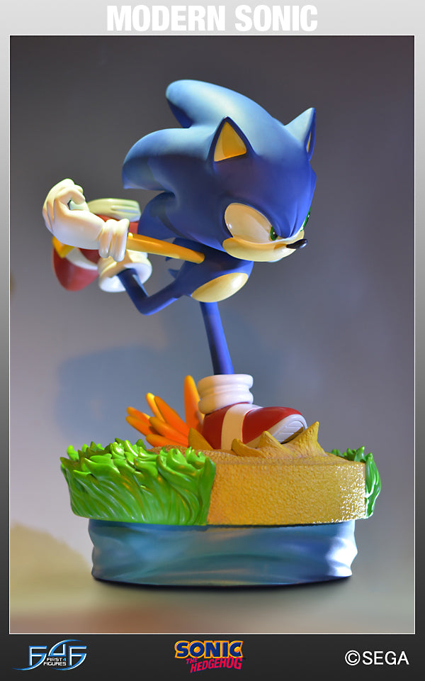 Modern Sonic (MSTHS007.jpg)