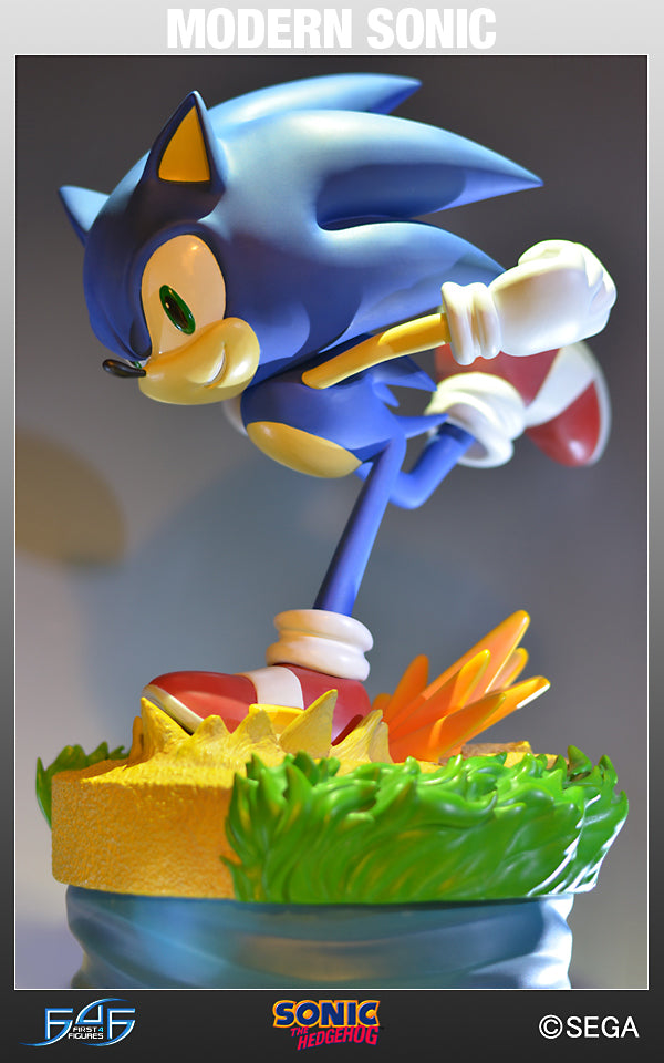 Modern Sonic (MSTHS012.jpg)