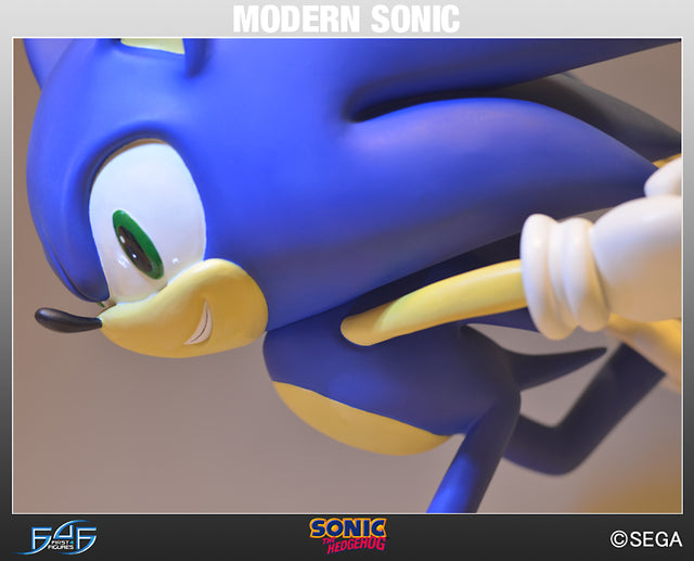 Modern Sonic (MSTHS021.jpg)
