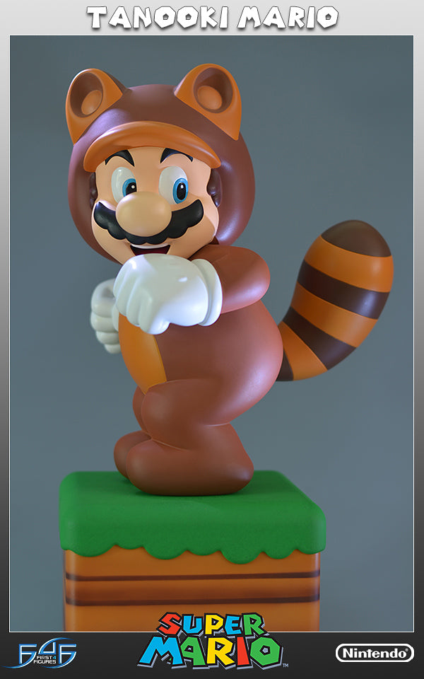 Tanooki Mario (SMTMR010.jpg)