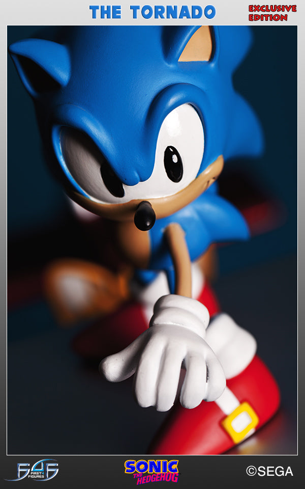 Sonic "The Tornado" Diorama Exclusive (SNTORX009.jpg)