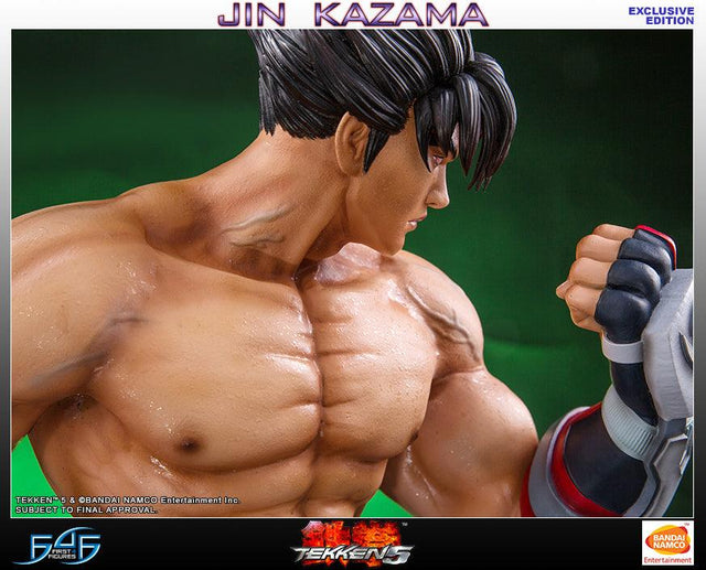 Jin Kazama - TEKKEN 5 (Exclusive) (TKJKWX028.jpg)