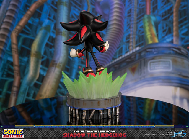 Sonic The Hedgehog - The Ultimate Life Form: Shadow the Hedgehog (a8109dee-fa32-4ba0-ba25-c69042f11cc2.jpg)