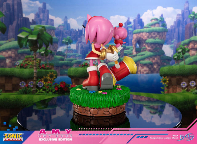 Sonic the Hedgehog - Amy Exclusive Edition (amyrose-ex_05.jpg)
