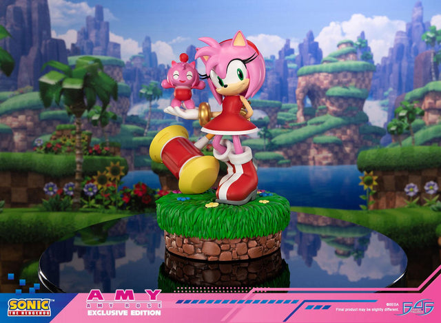 Sonic the Hedgehog - Amy Exclusive Edition (amyrose-ex_08.jpg)