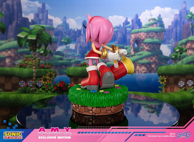 Sonic the Hedgehog - Amy Exclusive Edition (amyrose-st_05_1.jpg)