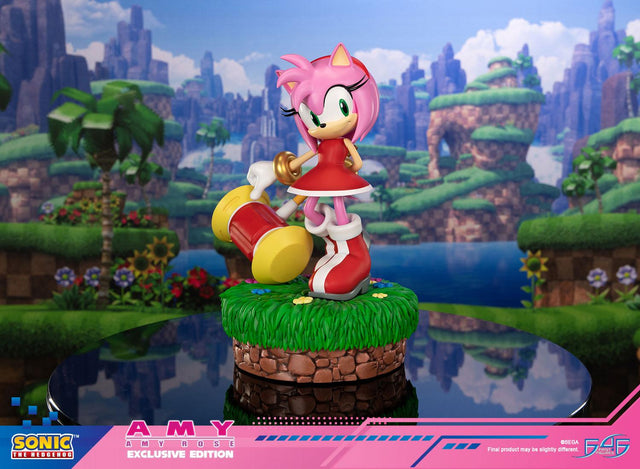Sonic the Hedgehog - Amy Exclusive Edition (amyrose-st_08_1.jpg)