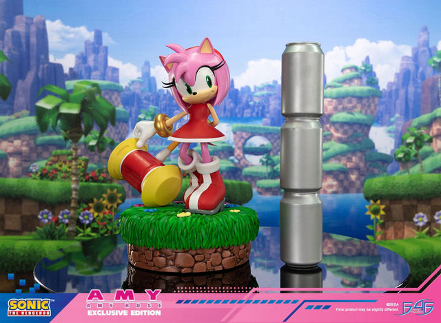 Sonic the Hedgehog - Amy Exclusive Edition (amyrose-st_09_1.jpg)