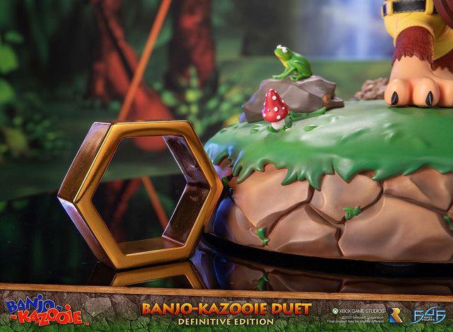 Banjo-Kazooie™ - Banjo-Kazooie Duet (Definitive Edition) (banjoduetde_21.jpg)