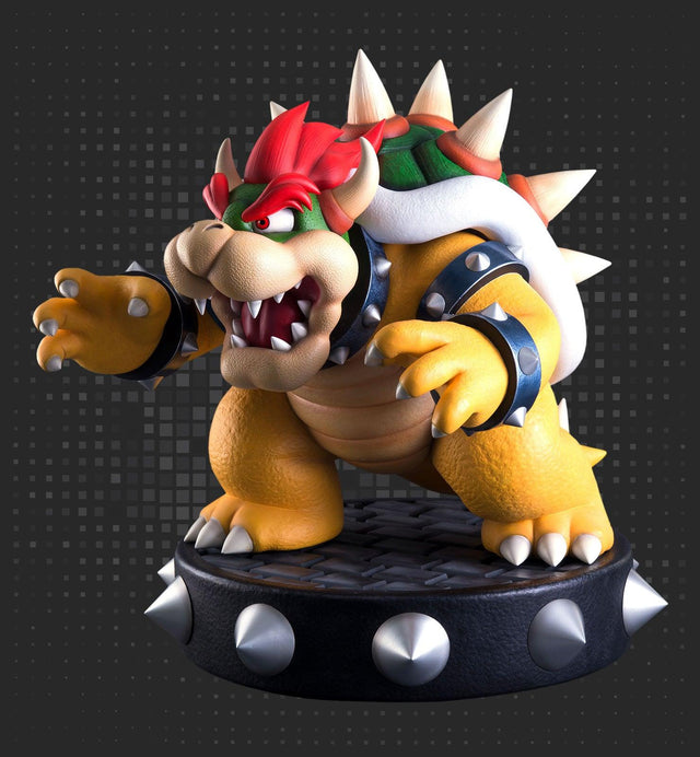 Bowser (Regular) (bowser-1.jpg)
