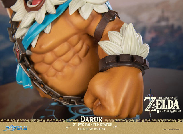 Breath of The Wild - Daruk - Exclusive Edition (darukex_22.jpg)