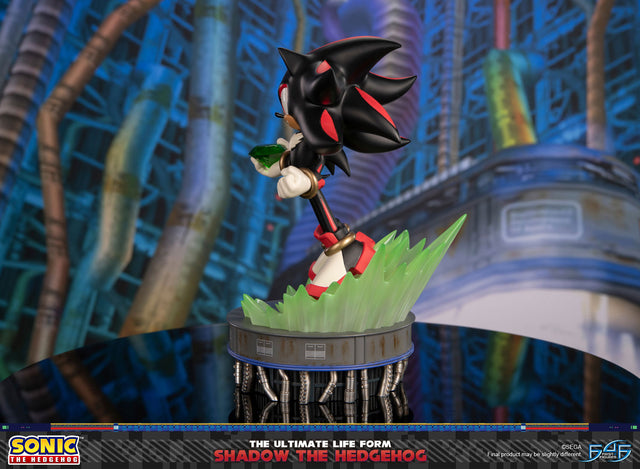 Sonic The Hedgehog - The Ultimate Life Form: Shadow the Hedgehog (dfaa1ca0-2fc3-40a7-91cb-3edbb9c80beb.jpg)