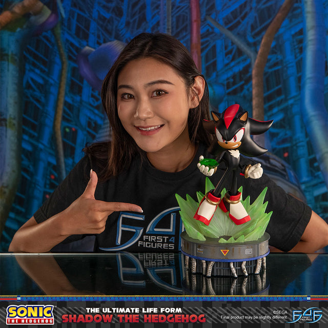 Sonic The Hedgehog - The Ultimate Life Form: Shadow the Hedgehog (e2d47e9e-37f9-4d52-8600-4f06f7018045.jpg)