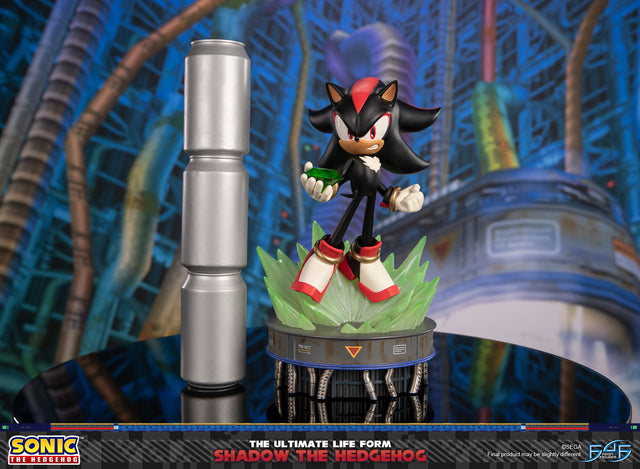 Sonic The Hedgehog - The Ultimate Life Form: Shadow the Hedgehog (eeaa2577-4a62-4ed8-ab53-8e15031059da.jpg)