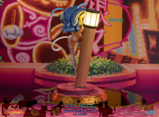 Darkstalkers - Felicia (Exclusive Edition) (feliciaex_04.jpg)