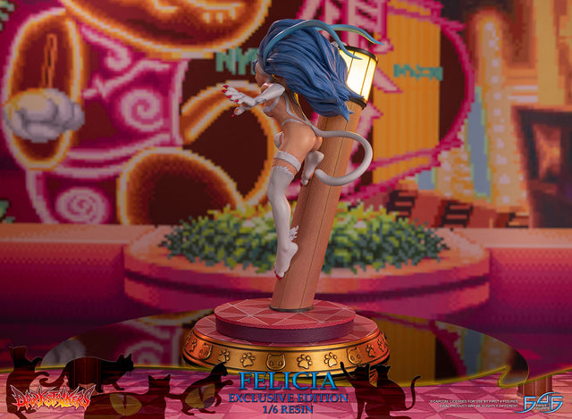 Darkstalkers - Felicia (Exclusive Edition) (feliciaex_06.jpg)