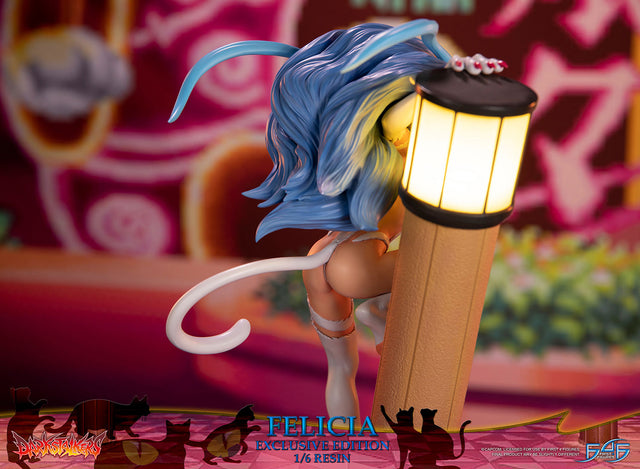 Darkstalkers - Felicia (Exclusive Edition) (feliciaex_13.jpg)