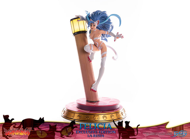 Darkstalkers - Felicia (Exclusive Edition) (feliciaex_26.jpg)
