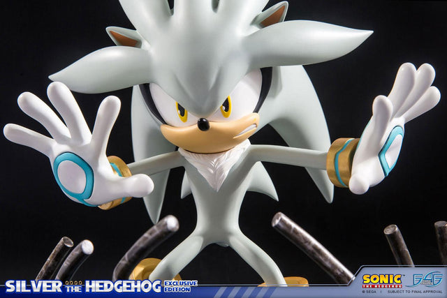 Silver the Hedgehog (Exclusive) (horizontal_01_6.jpg)