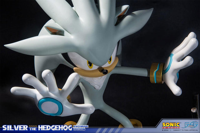 Silver the Hedgehog (Exclusive) (horizontal_05_6.jpg)