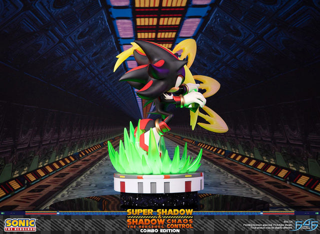 Sonic the Hedgehog™ – Super Shadow and Shadow the Hedgehog: Chaos Control (Combo Edition) (launchphoto_combo_04.jpg)