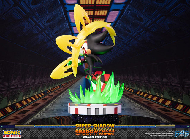 Sonic the Hedgehog™ – Super Shadow and Shadow the Hedgehog: Chaos Control (Combo Edition) (launchphoto_combo_08.jpg)
