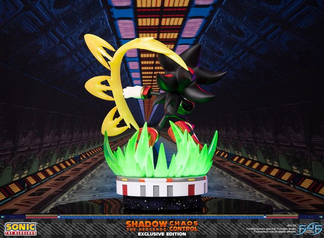 Sonic the Hedgehog™ – Shadow the Hedgehog: Chaos Control (Exclusive Edition) (launchphoto_shadow_exc_06.jpg)