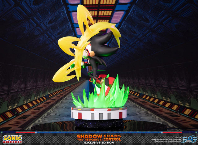 Sonic the Hedgehog™ – Shadow the Hedgehog: Chaos Control (Exclusive Edition) (launchphoto_shadow_exc_08.jpg)