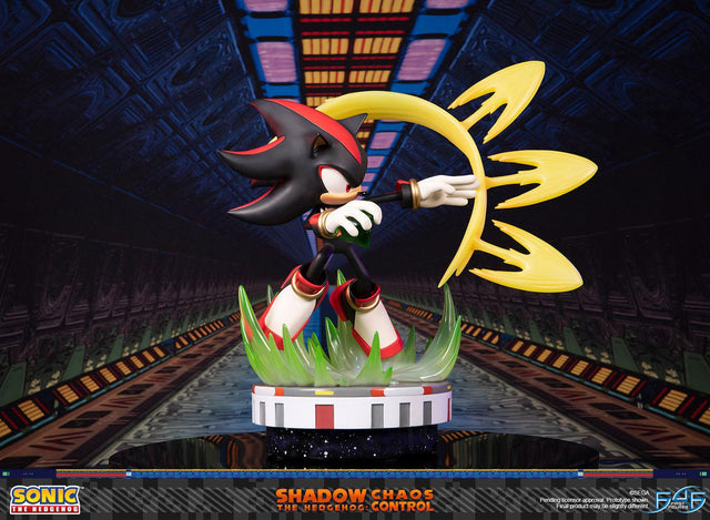 Sonic the Hedgehog™ – Shadow the Hedgehog: Chaos Control (Standard Edition) (launchphoto_shadow_stn_03.jpg)