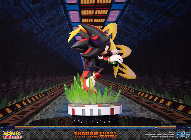 Sonic the Hedgehog™ – Shadow the Hedgehog: Chaos Control (Standard Edition) (launchphoto_shadow_stn_04.jpg)