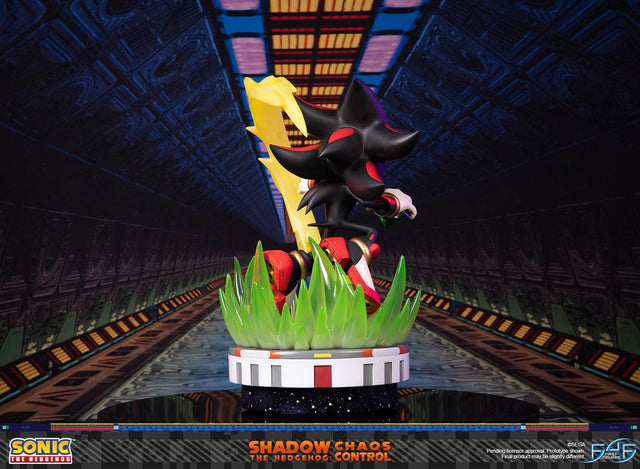Sonic the Hedgehog™ – Shadow the Hedgehog: Chaos Control (Standard Edition) (launchphoto_shadow_stn_05.jpg)