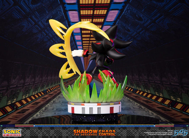 Sonic the Hedgehog™ – Shadow the Hedgehog: Chaos Control (Standard Edition) (launchphoto_shadow_stn_06.jpg)