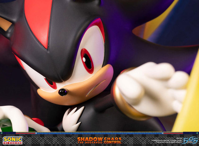 Sonic the Hedgehog™ – Shadow the Hedgehog: Chaos Control (Standard Edition) (launchphoto_shadow_stn_11.jpg)