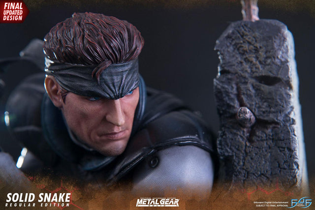 Solid Snake (Regular) (_new_snake_reg_horizontal_13_1.jpg)