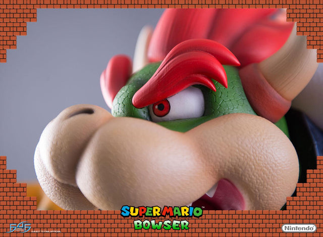 Bowser (Regular) (reg_horizontal_12.jpg)