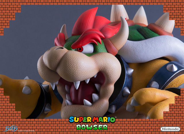 Bowser (Regular) (reg_horizontal_18.jpg)
