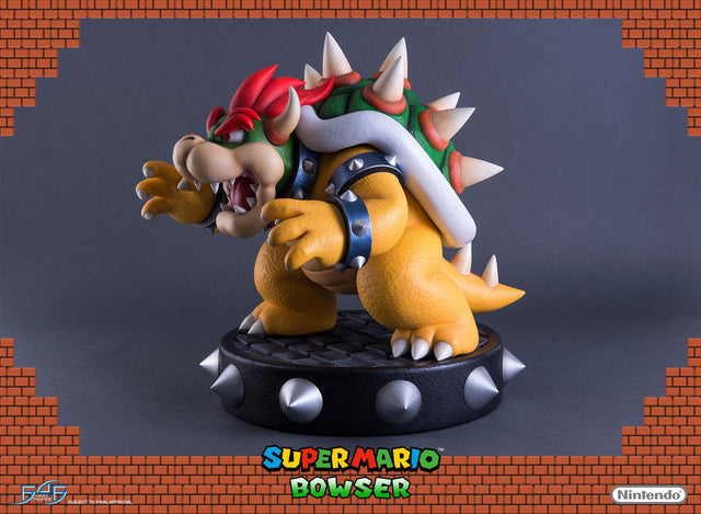 Bowser (Regular) (reg_horizontal_20.jpg)