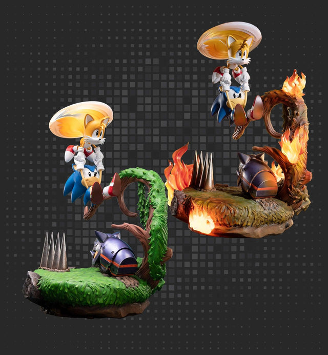 Sonic the Hedgehog – Sonic and Tails Exclusive Edition (s_t-pre-order-template_newweb2.jpg)