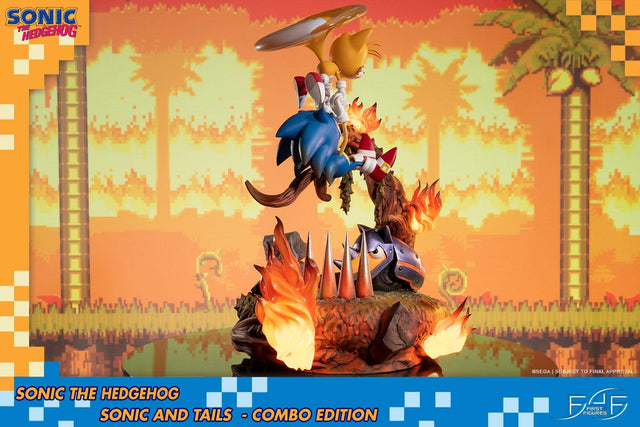 Sonic the Hedgehog – Sonic and Tails Combo Edition (s_t_combo_06.jpg)