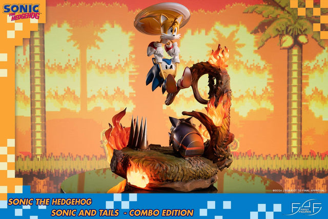 Sonic the Hedgehog – Sonic and Tails Combo Edition (s_t_combo_08.jpg)