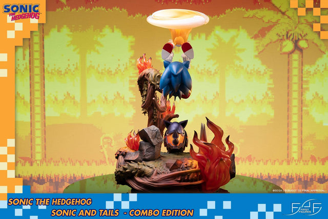 Sonic the Hedgehog – Sonic and Tails Combo Edition (s_t_combo_13.jpg)