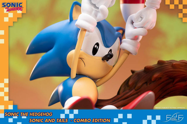 Sonic the Hedgehog – Sonic and Tails Combo Edition (s_t_combo_19.jpg)