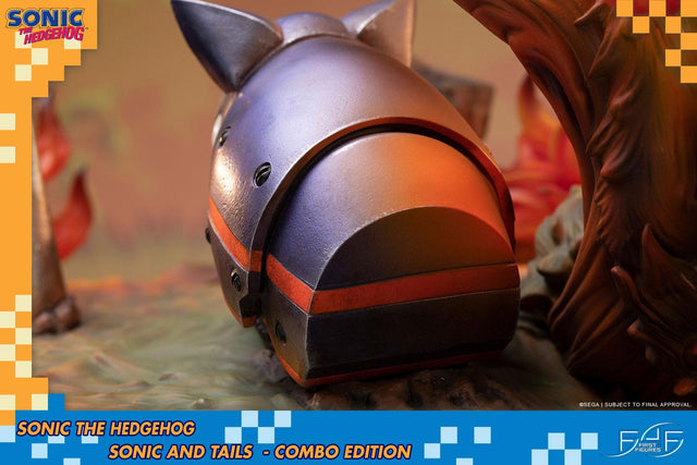 Sonic the Hedgehog – Sonic and Tails Combo Edition (s_t_combo_24.jpg)