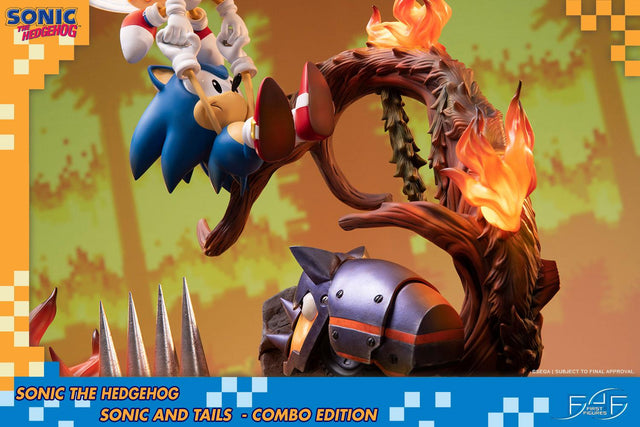 Sonic the Hedgehog – Sonic and Tails Combo Edition (s_t_combo_29.jpg)